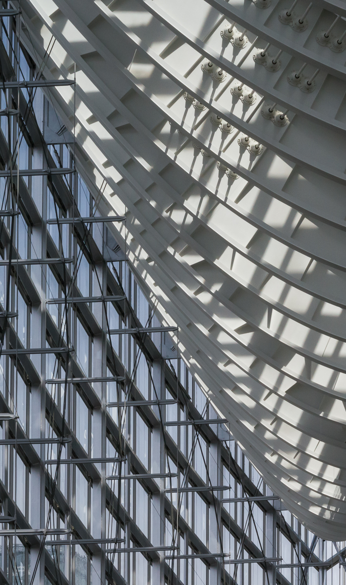 Lines and Curves