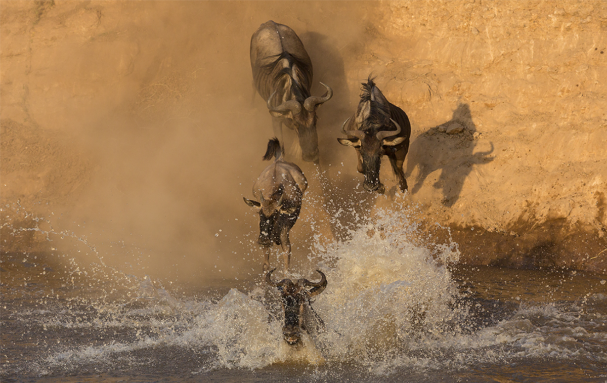 Big migration