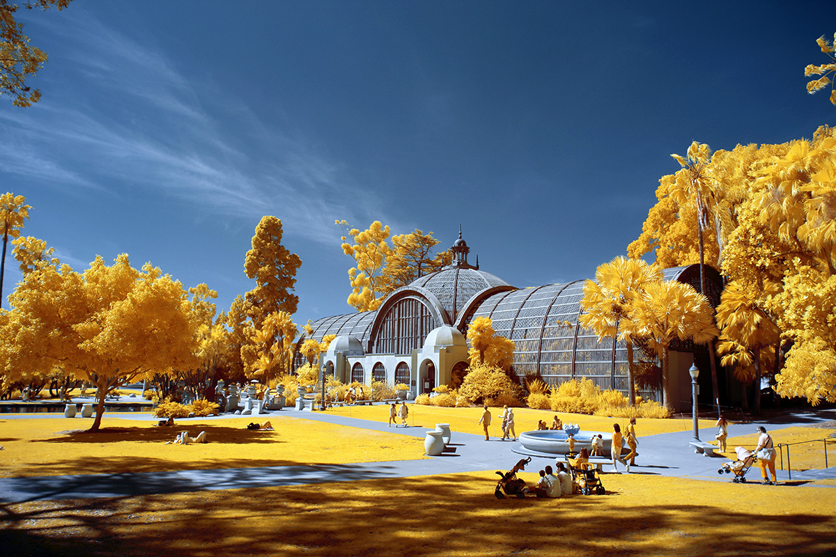 The greenhouse