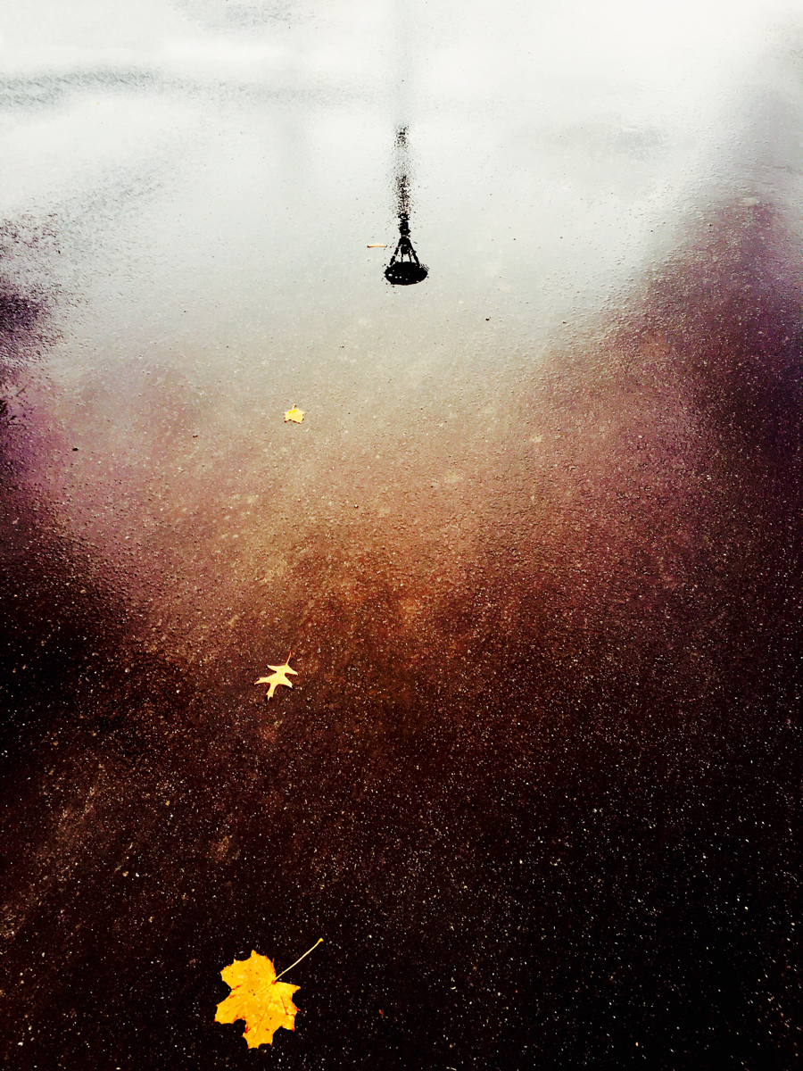 Surface and Consciousness