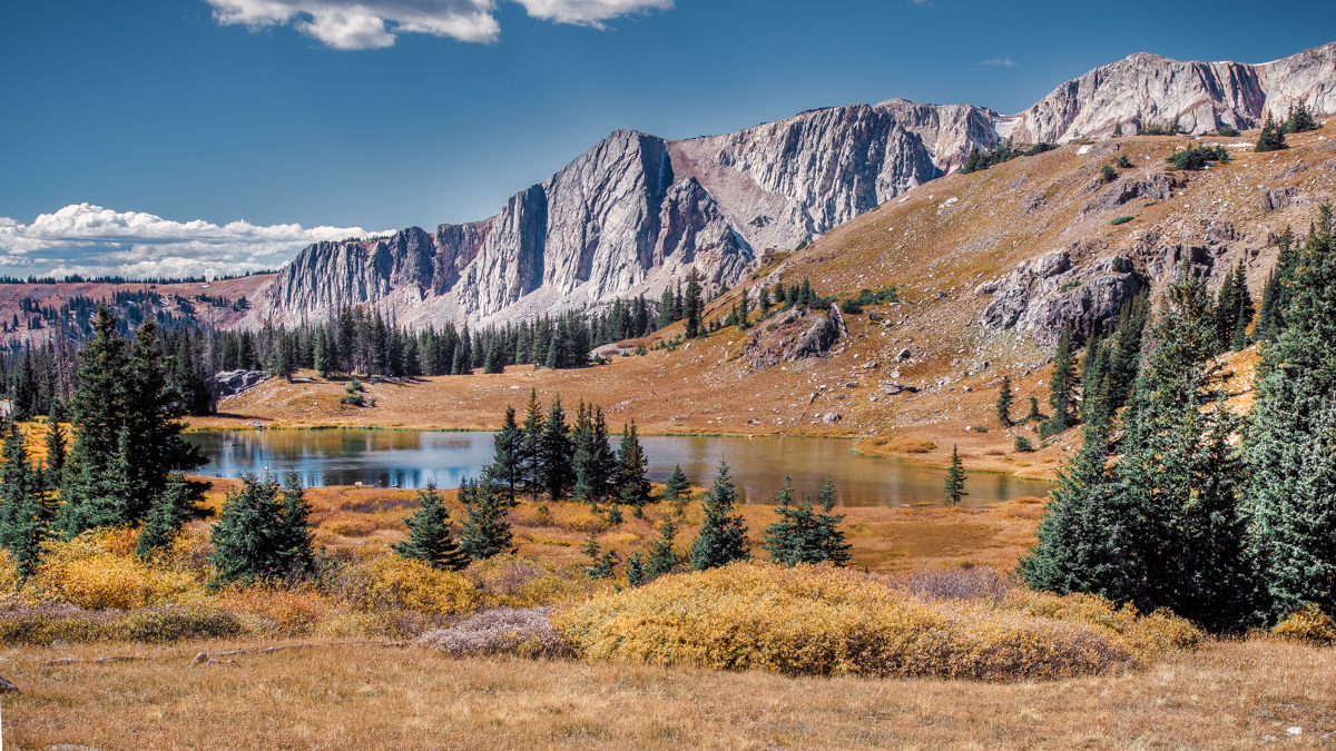 Alpine Fall