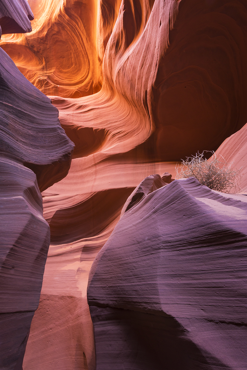 Artistry of Wind and Water