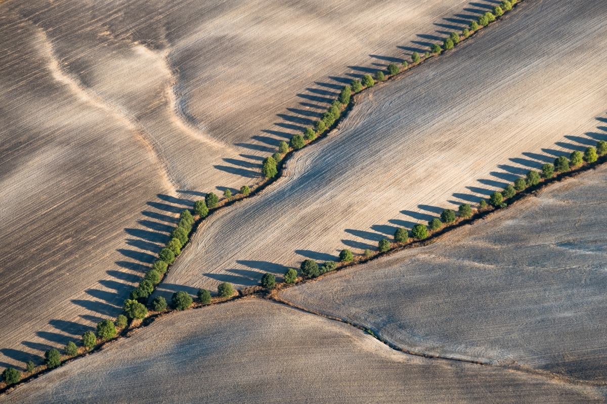 Shadows in the field
