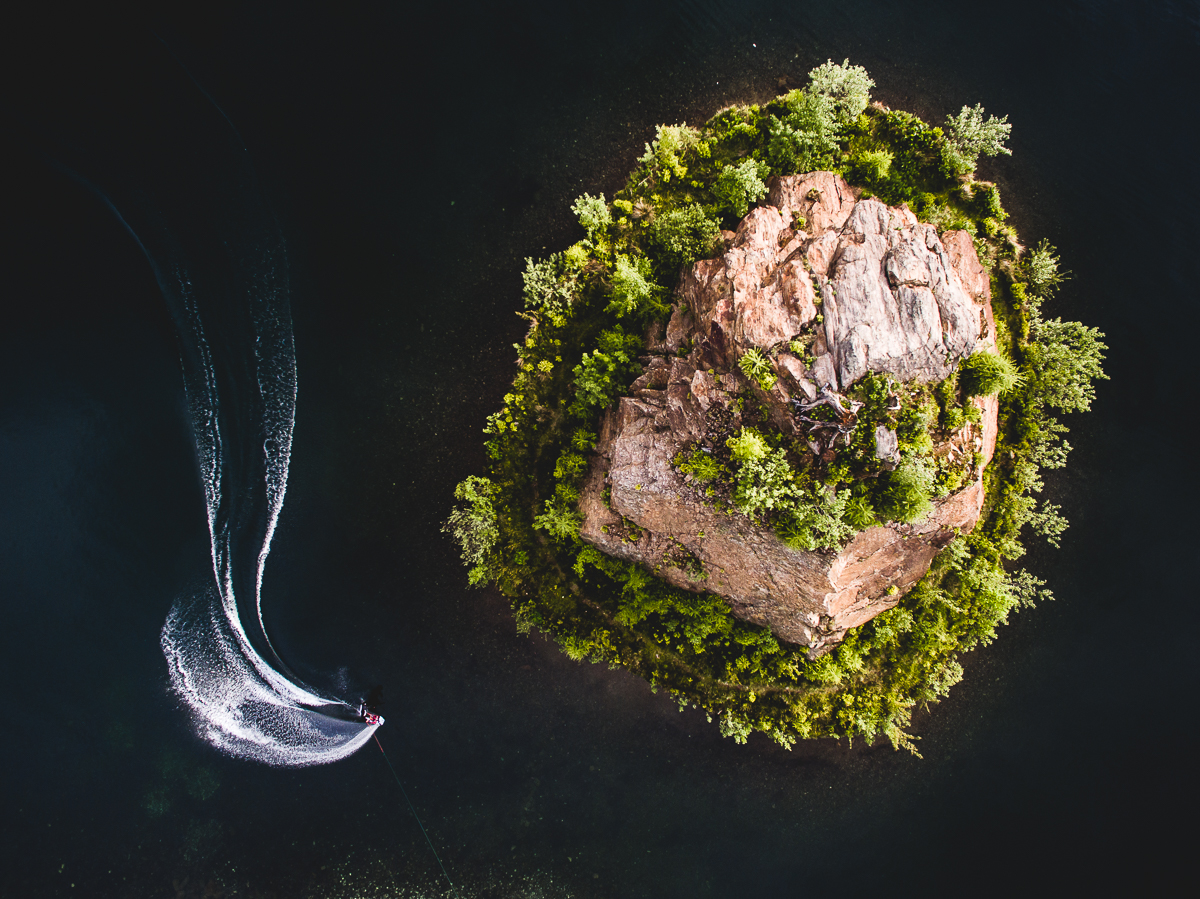 bird's eye