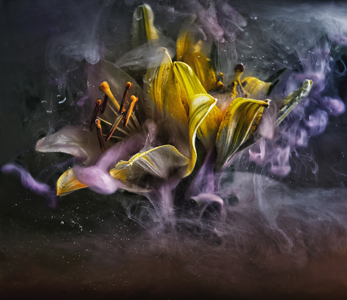 Colorful flowers