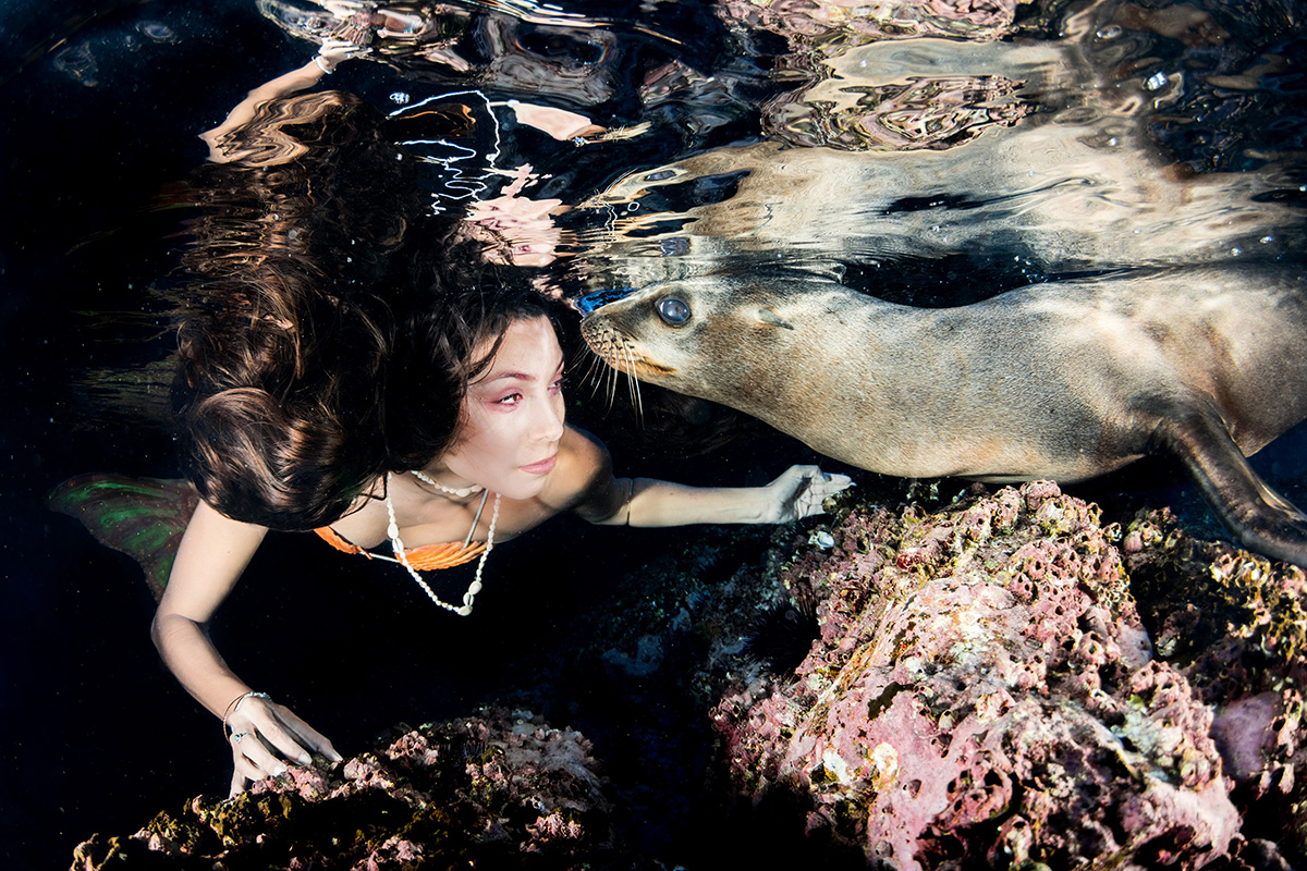 Mermaid and Sea Lion