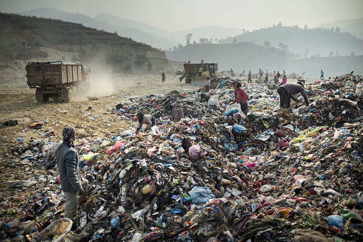 The environment is in danger