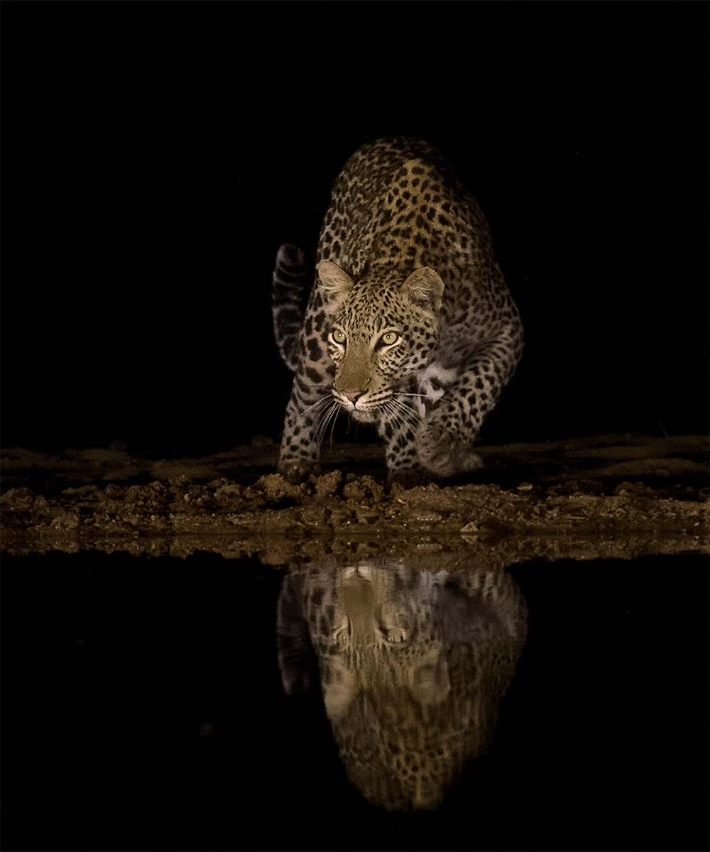 Silent & Stealthy
