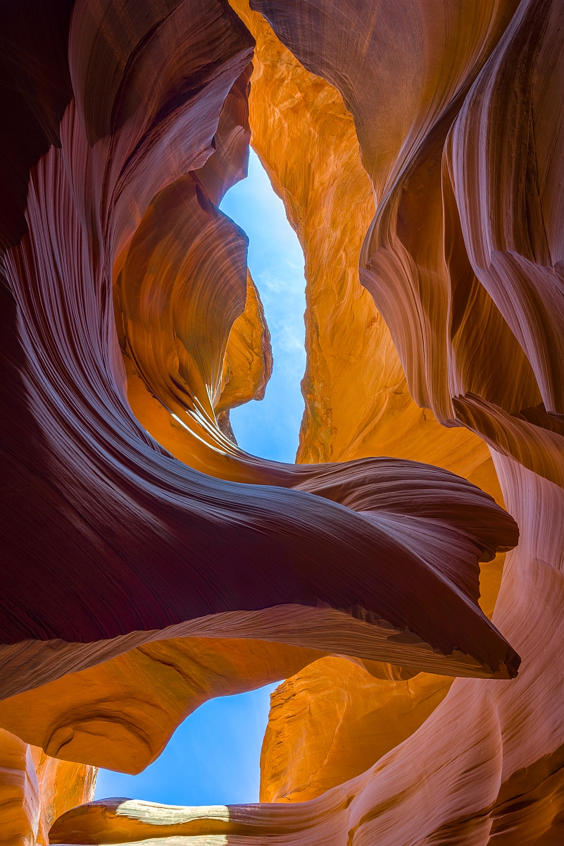 Canyon Curves