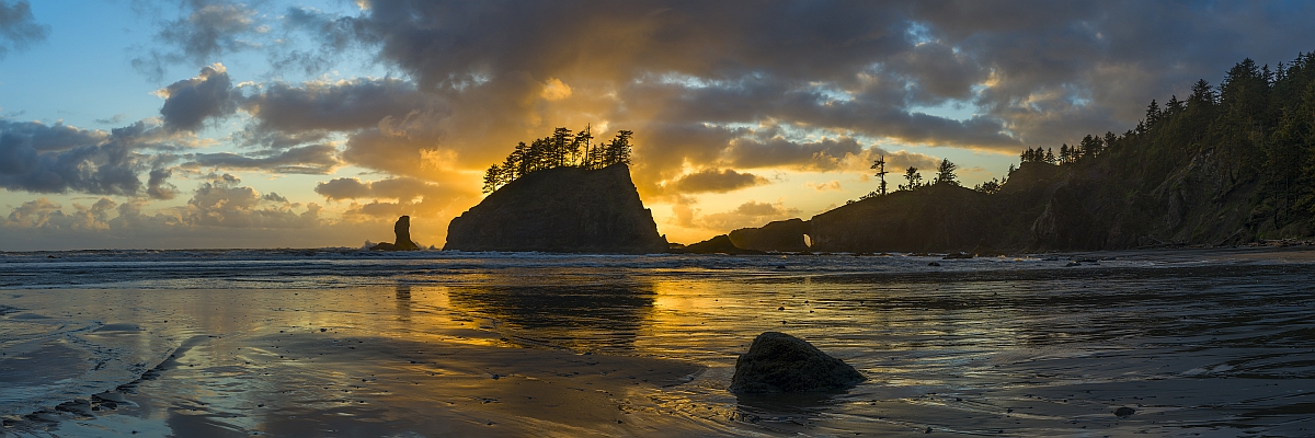 Coastal Fire