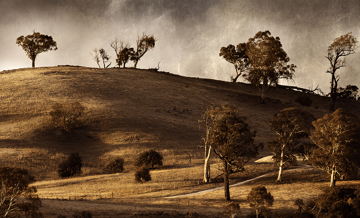 Bungonia plains