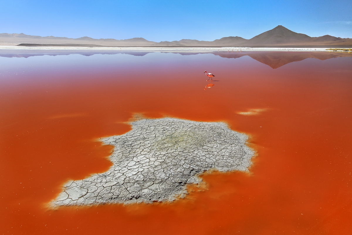 Red World Bolivia