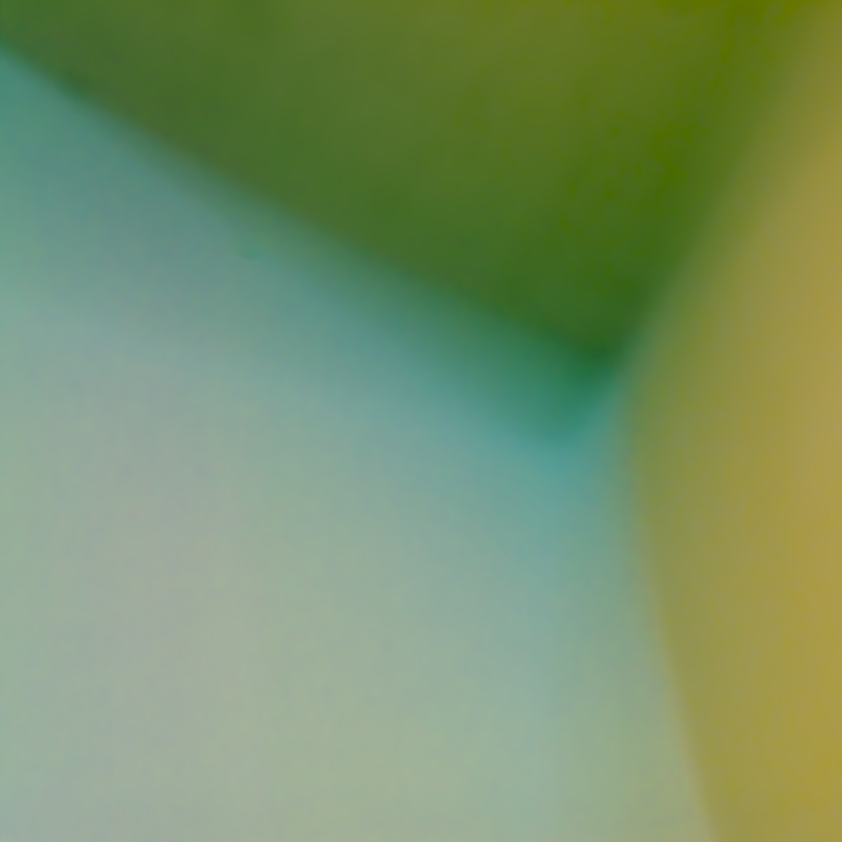 Q1