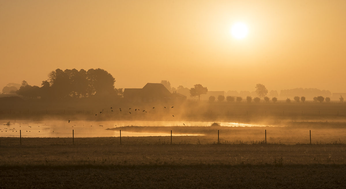 Sunrise in the countryside