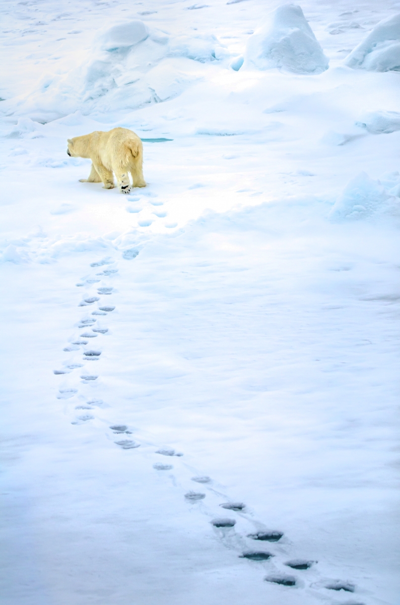 The path less trodden