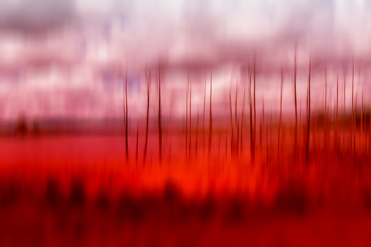 Red Lines