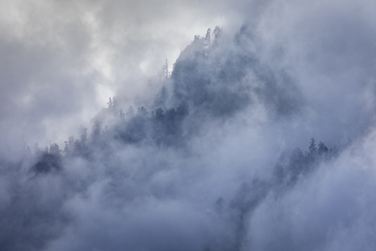 Himalayan fog