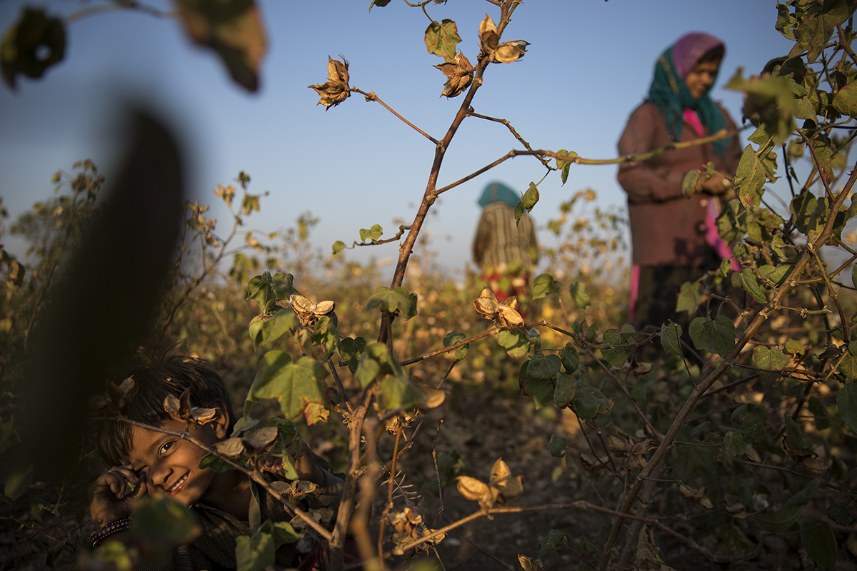 In the cotton field with mommy