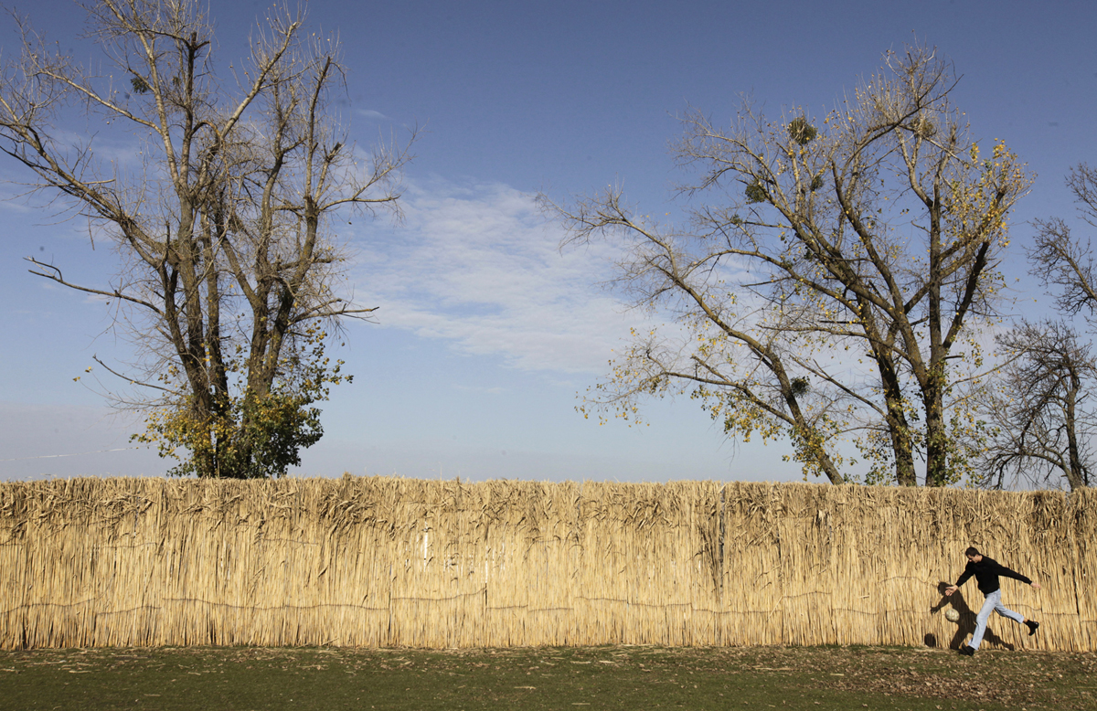 (untitled)