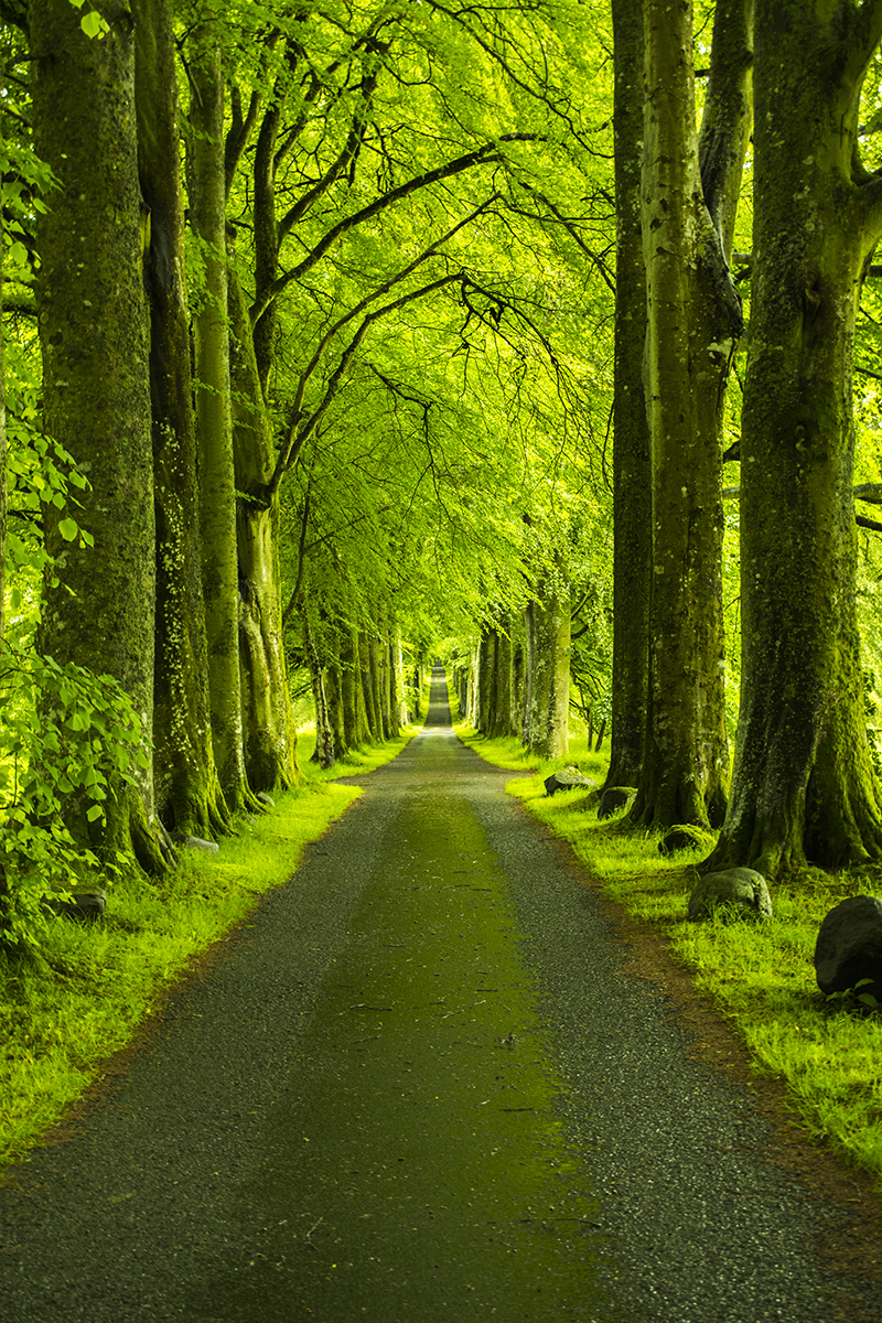 The Green Mile