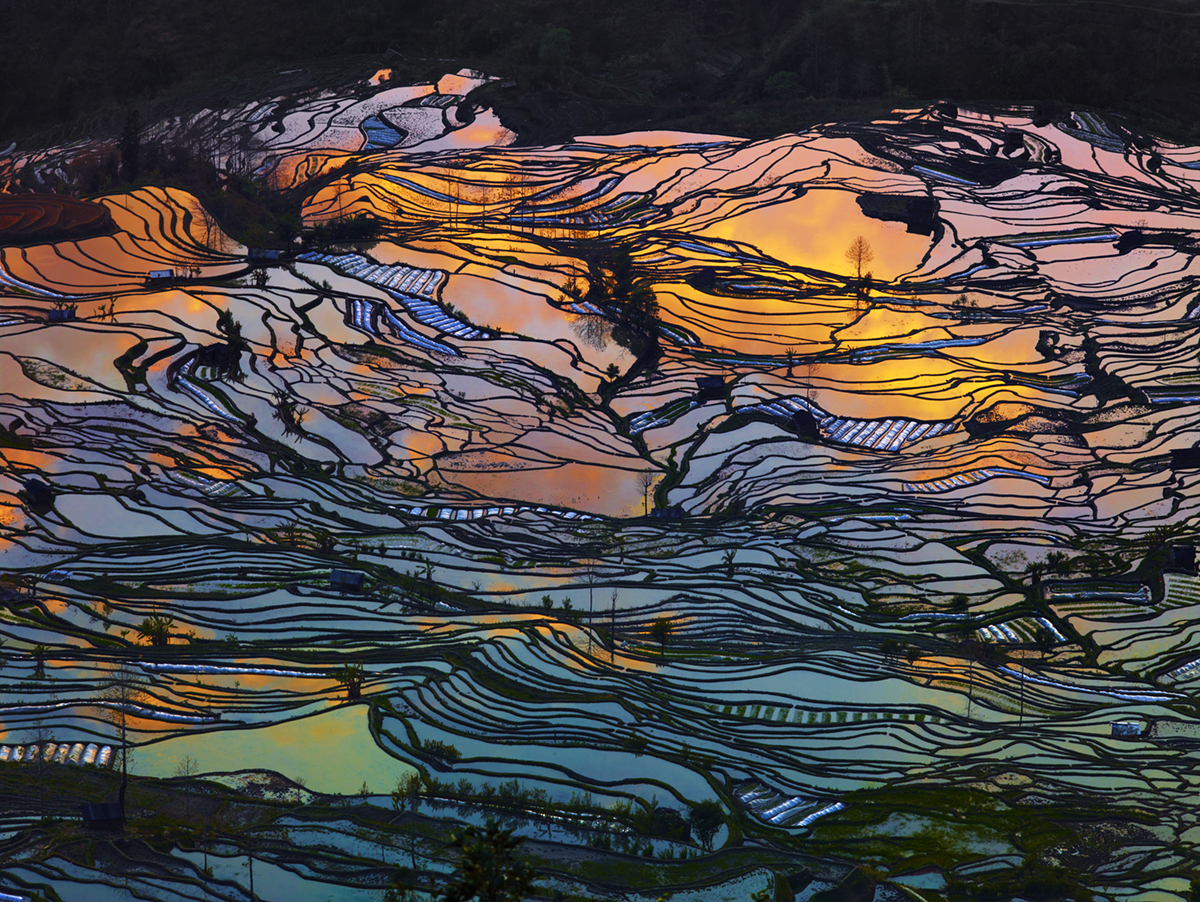 God's Palette 