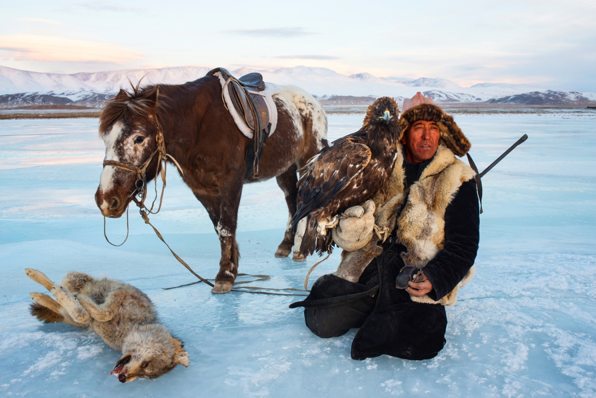 The Wolf in Winter Time.....