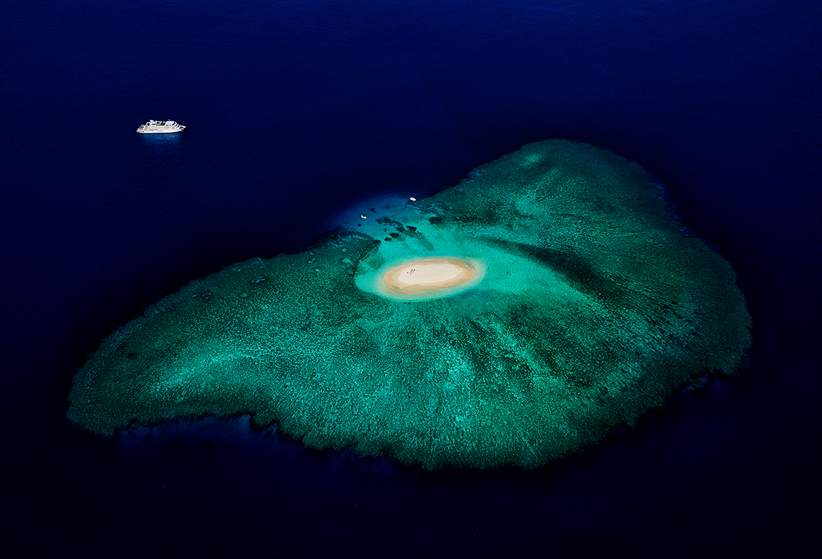 Manta rising