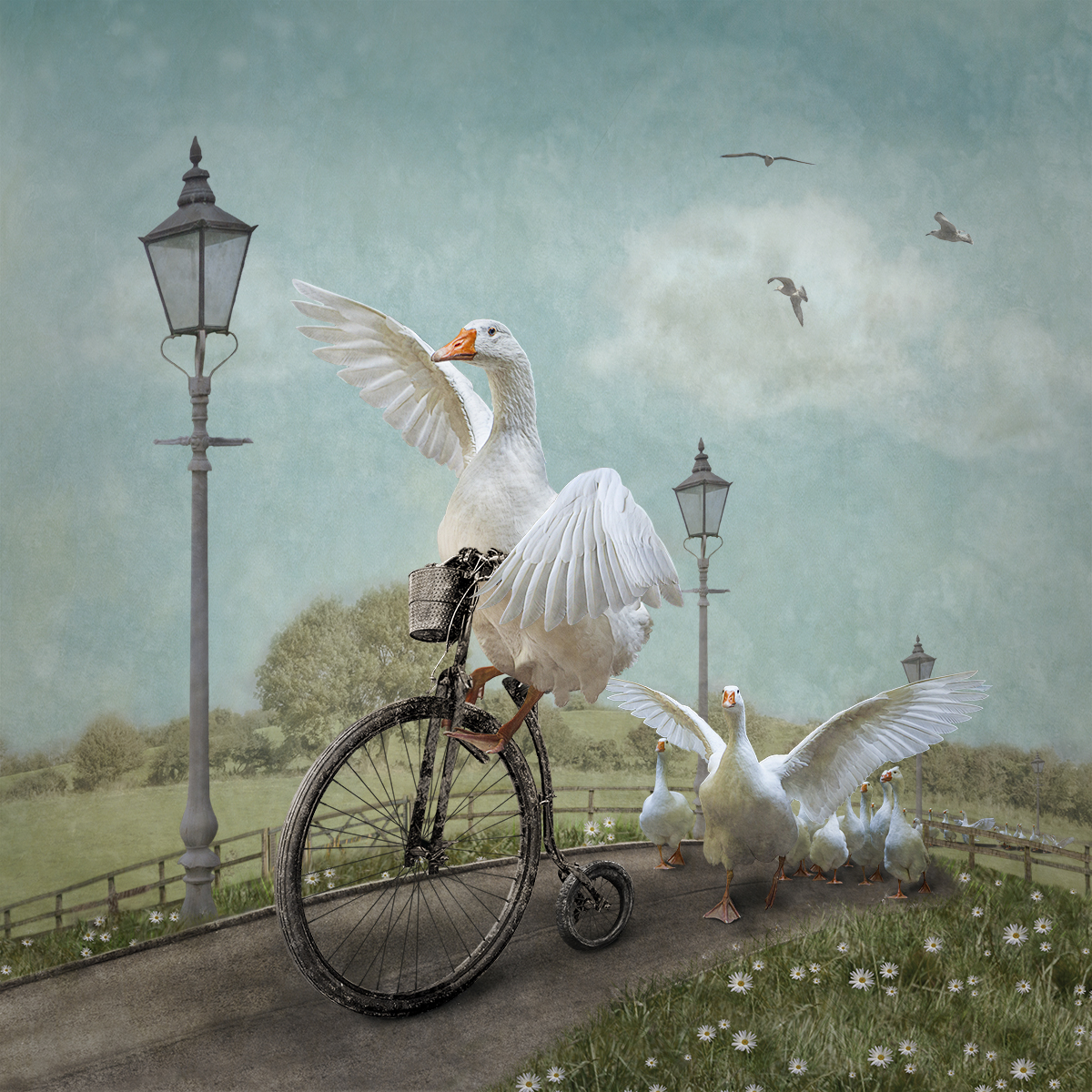 A Wild Goose Chase