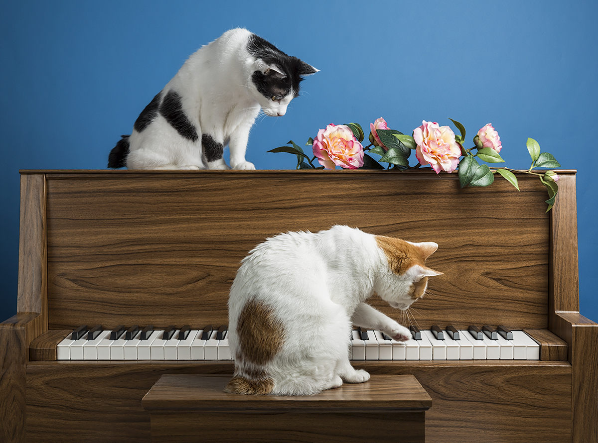 The pianist and his Student