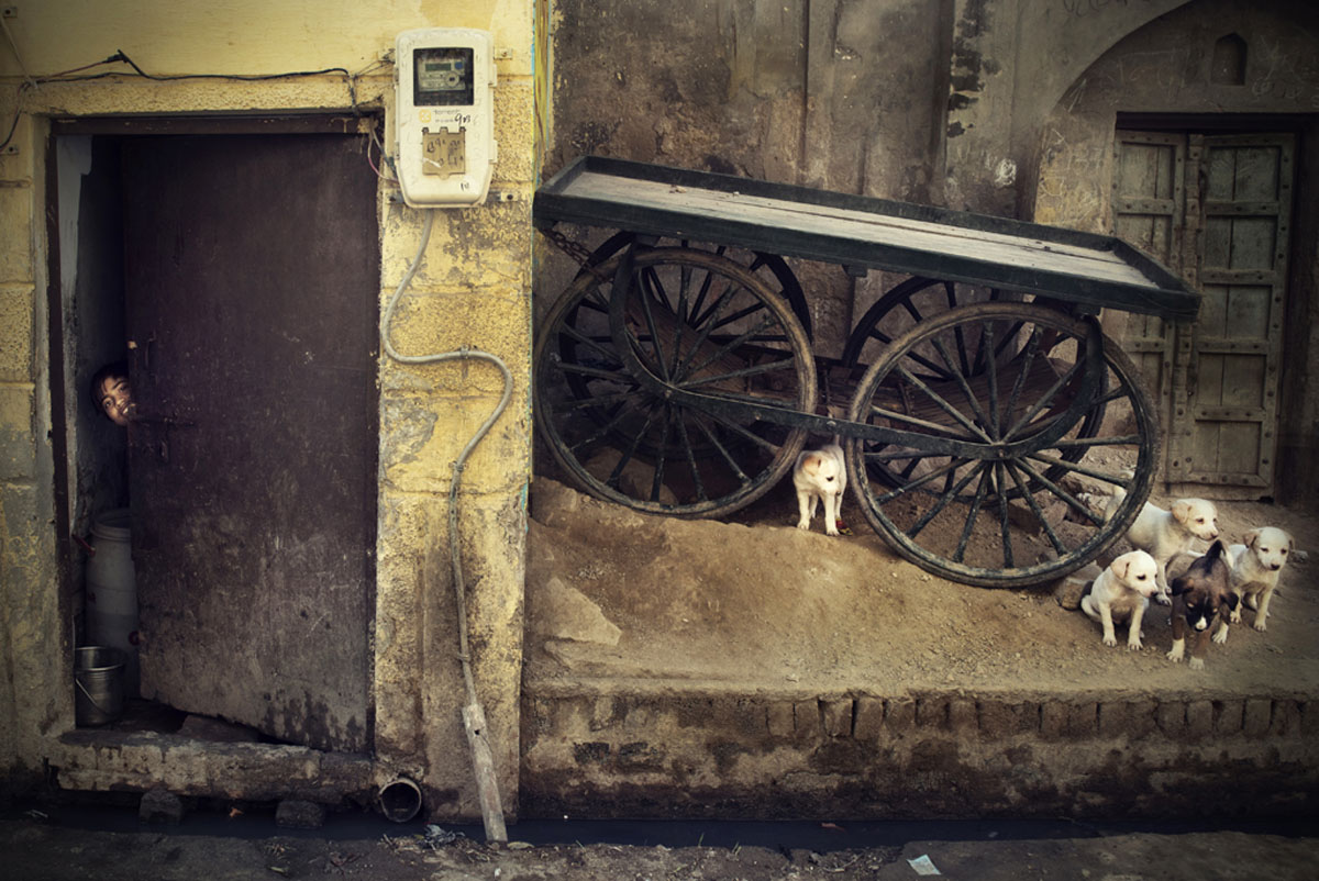 The Alley Of Joy
