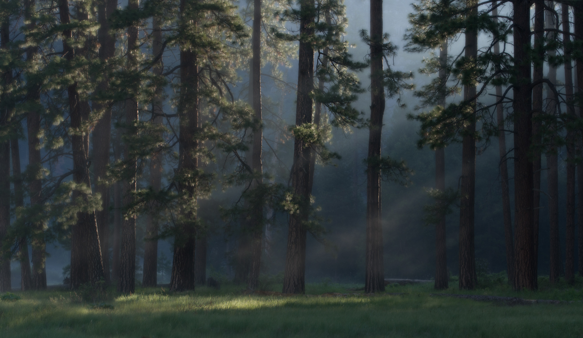First Light In Yosemite