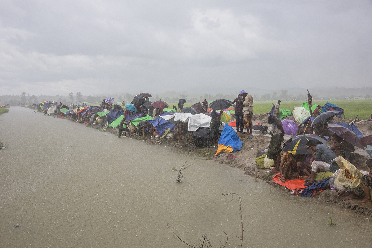 Rohingya's exodus