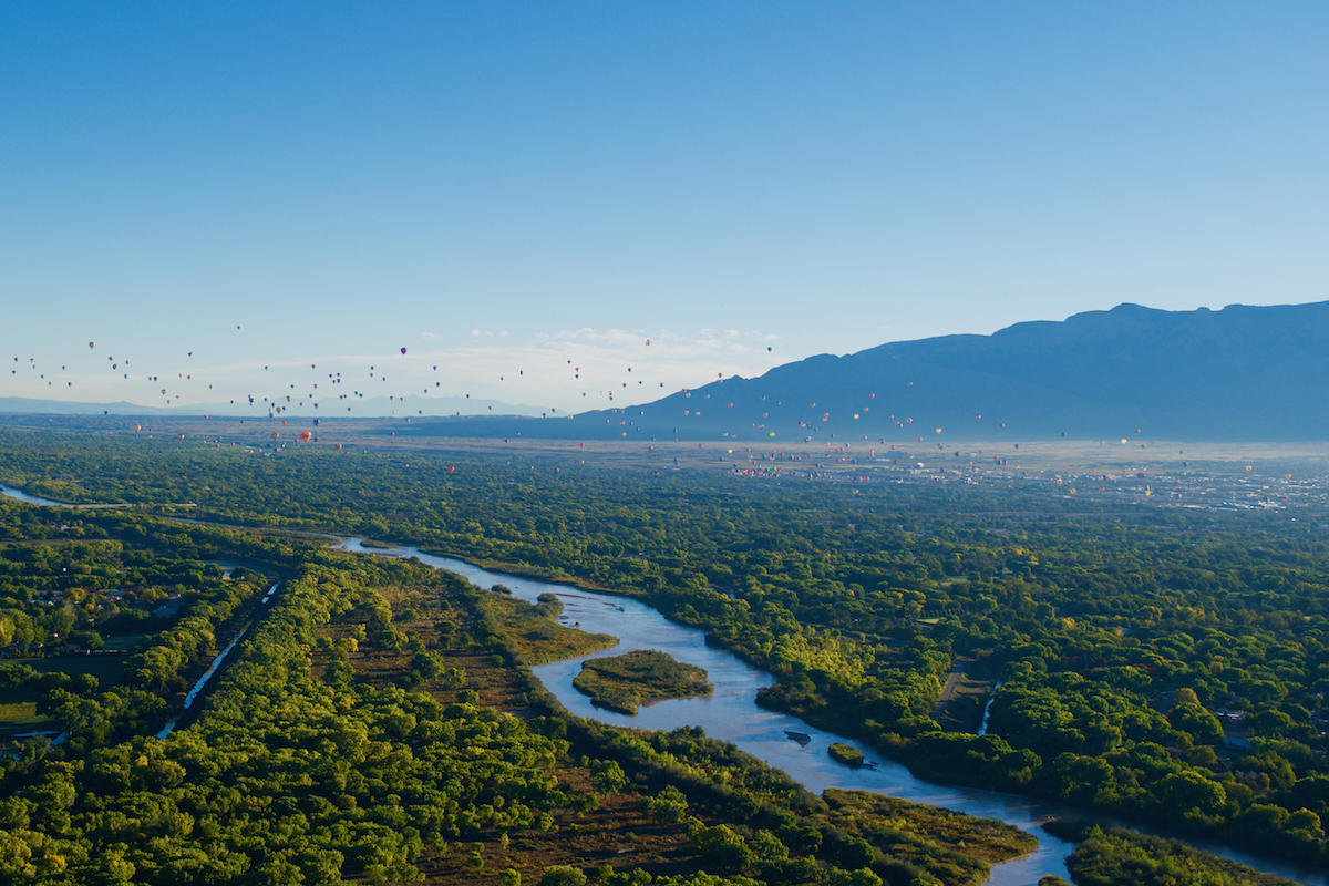 Balloon Fiesta