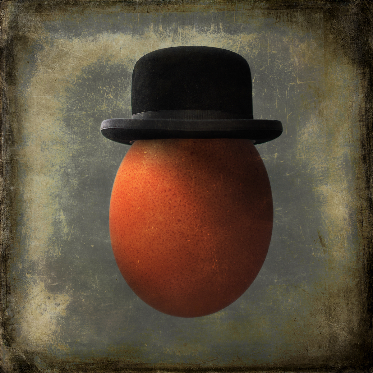 Portrait of an Egg