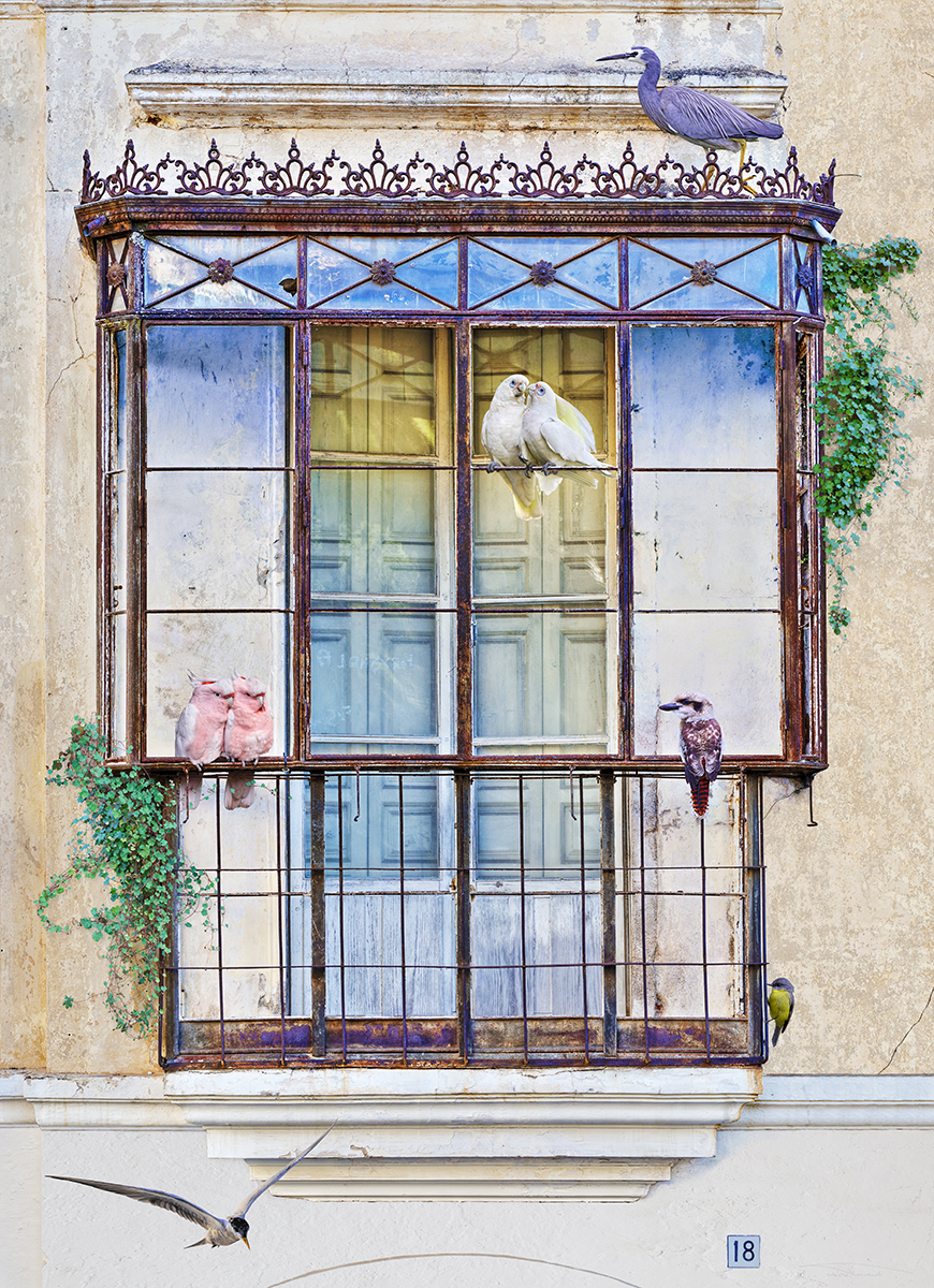 A colourful balcony of feathers