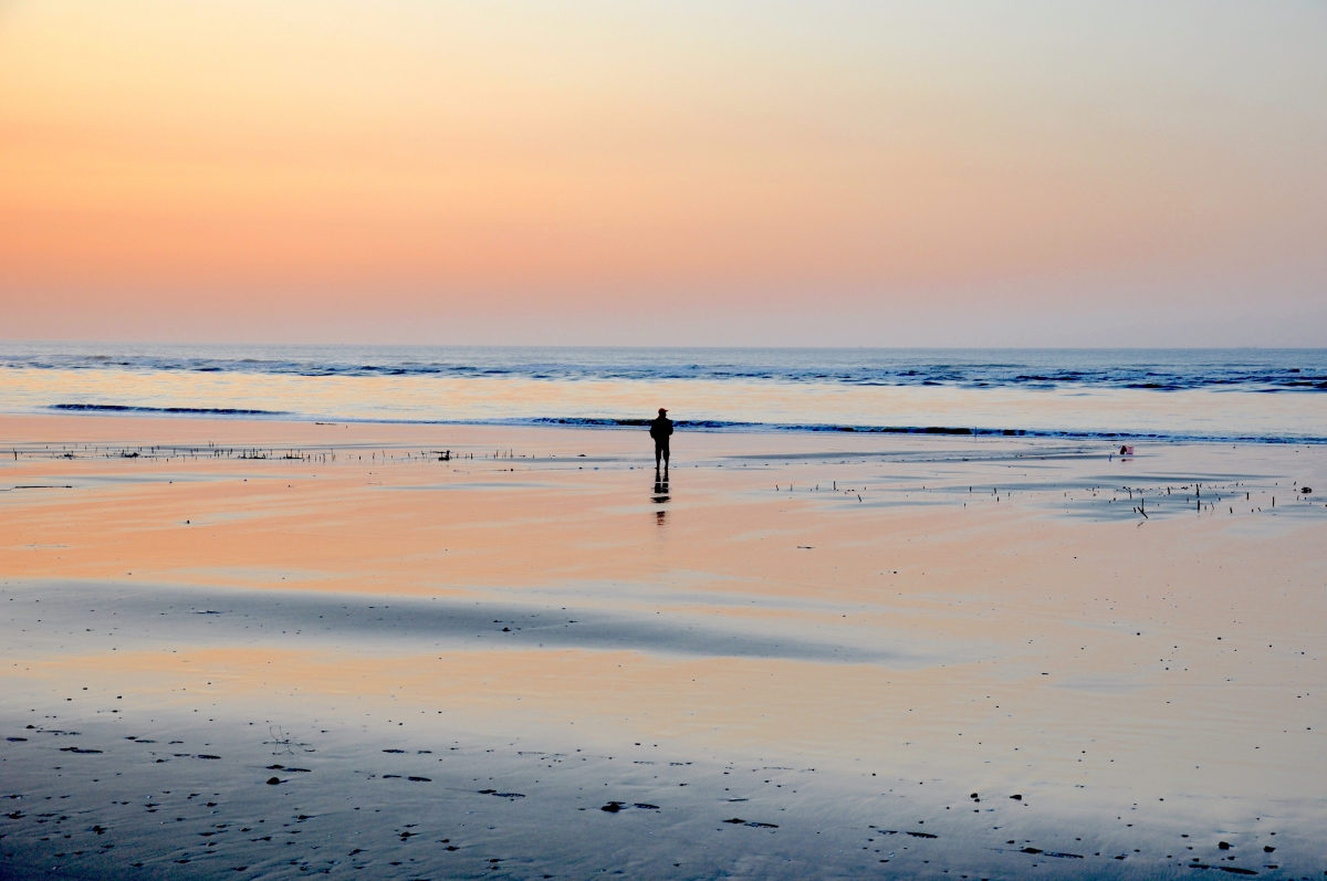 Contemplating The Sea