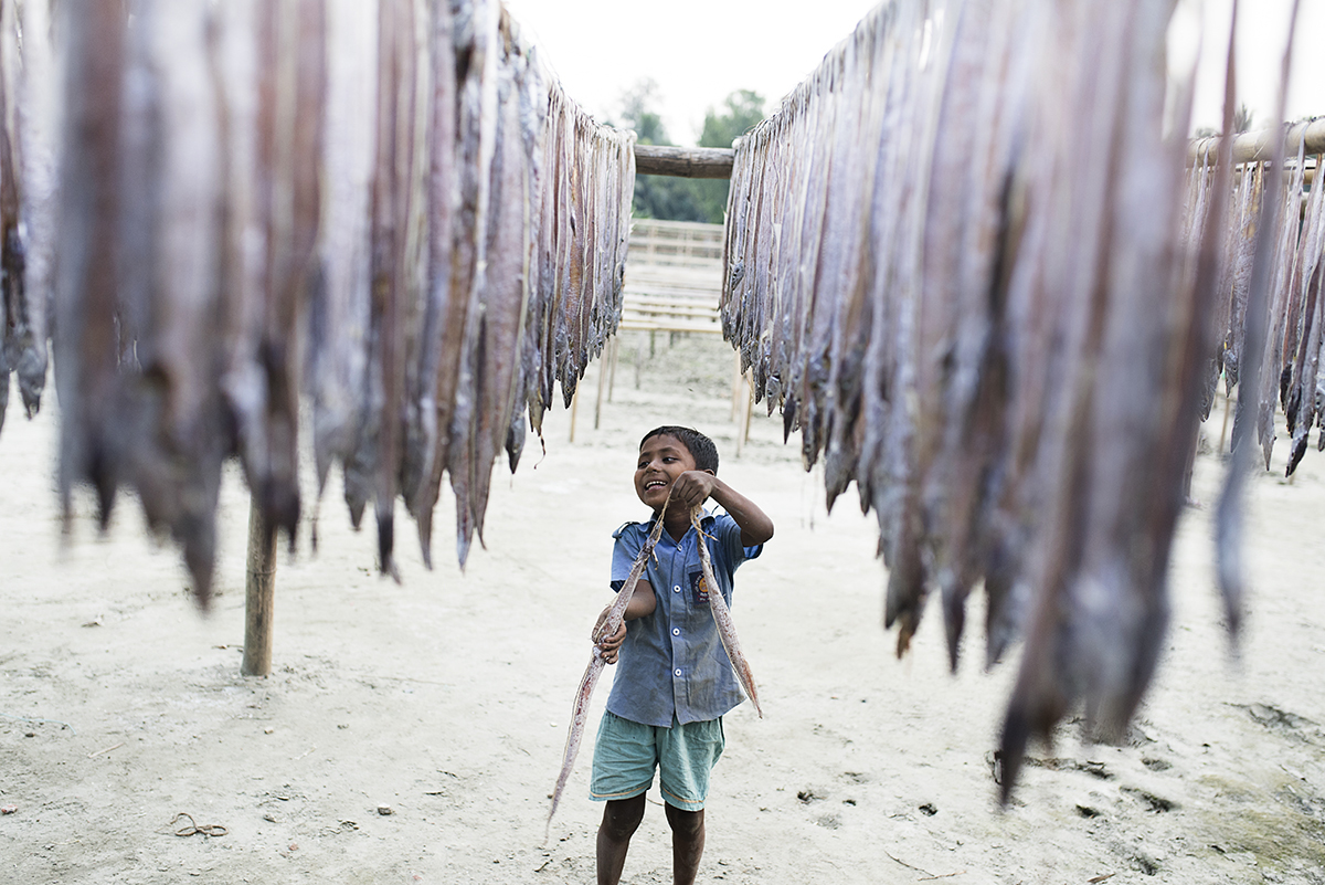 Dry Fish Boy