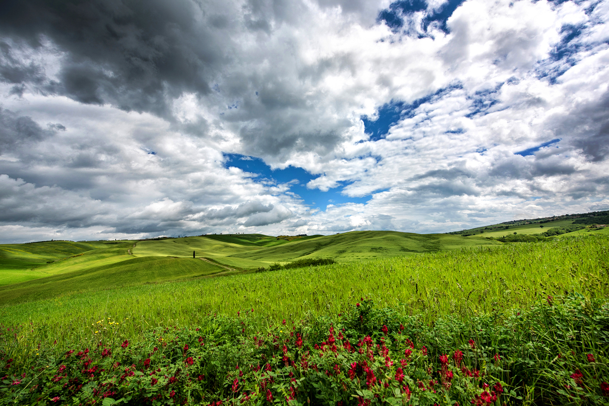Fields of Spring