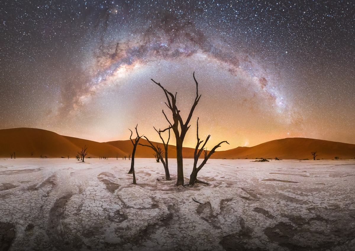 Dead Vlei