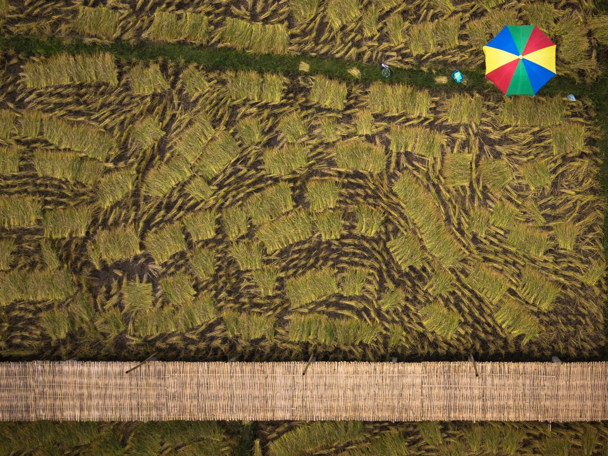Harvest By Hand