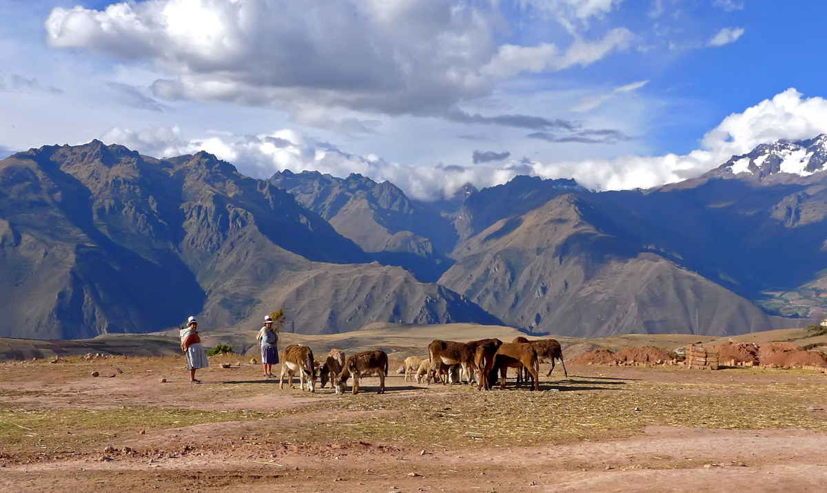 Peruvian Scenic Charm