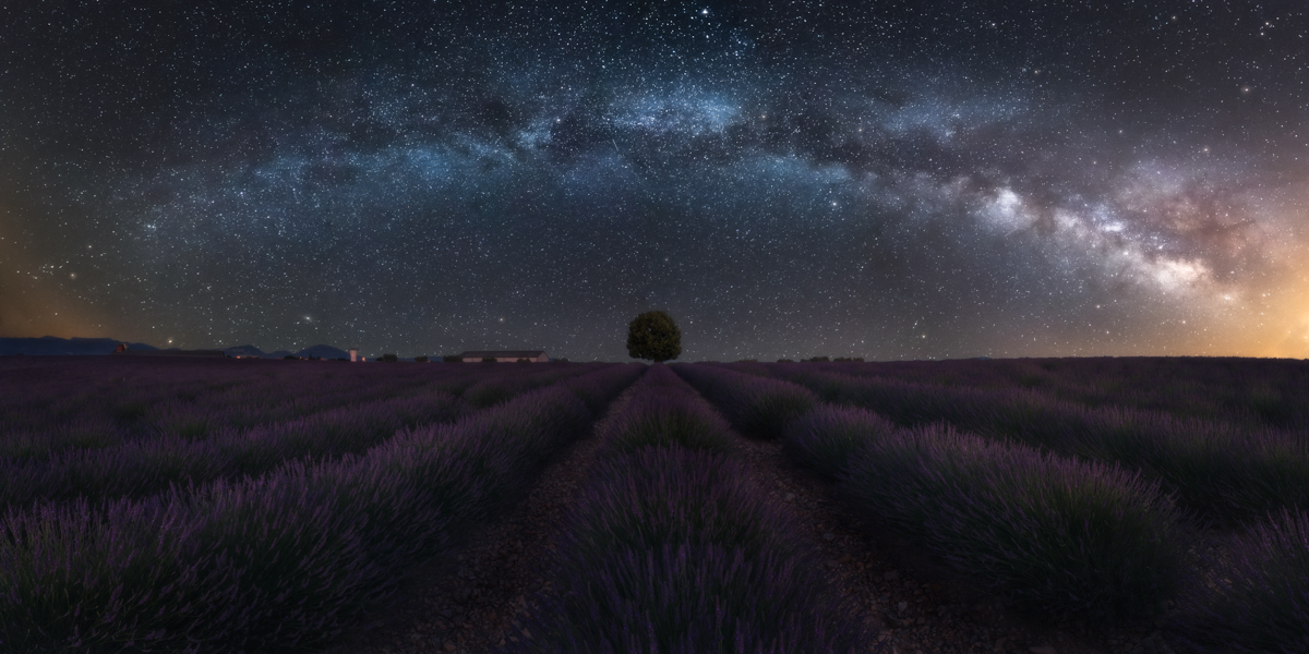 Galaxy Tree
