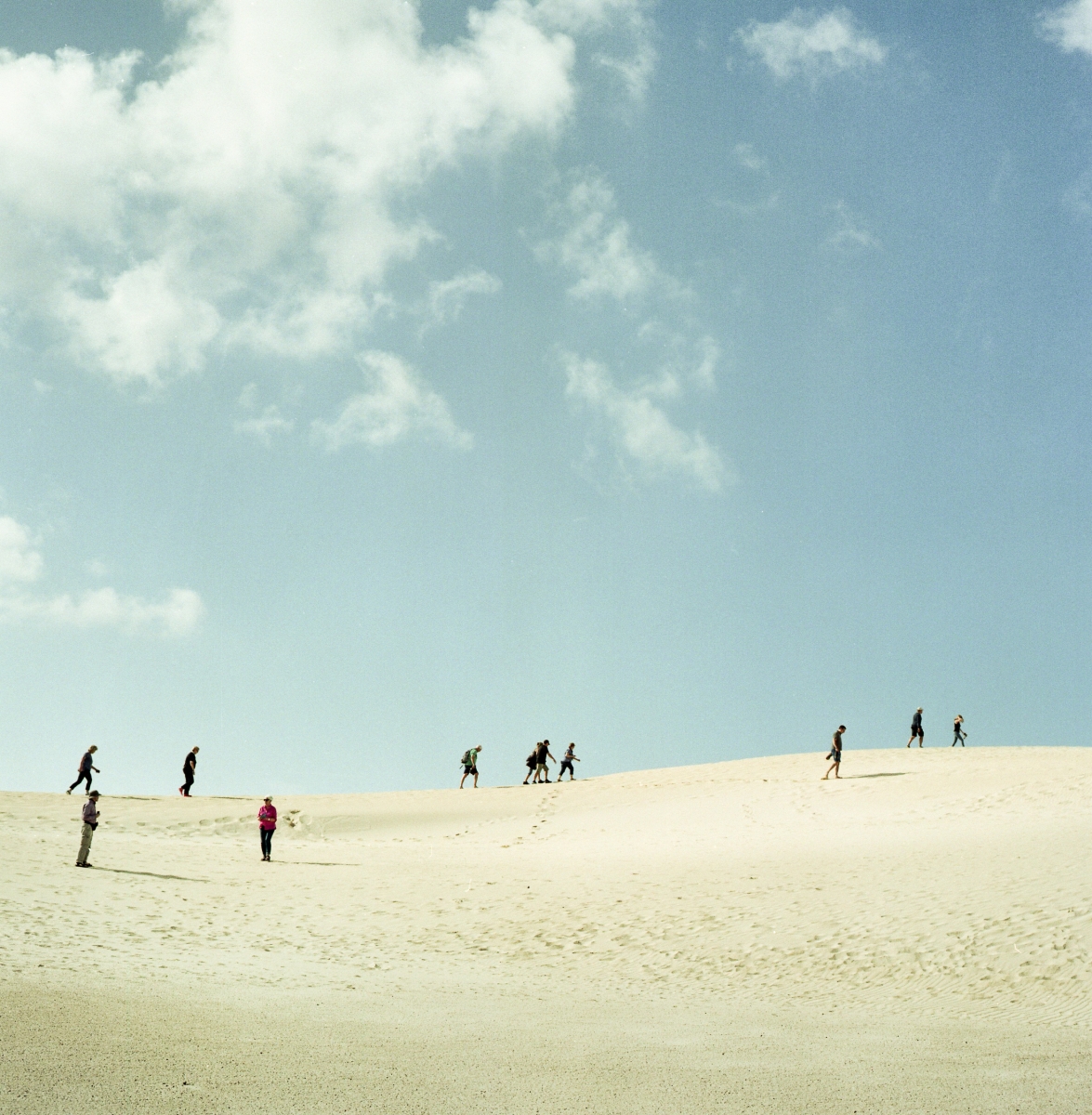 Tourism into the desert