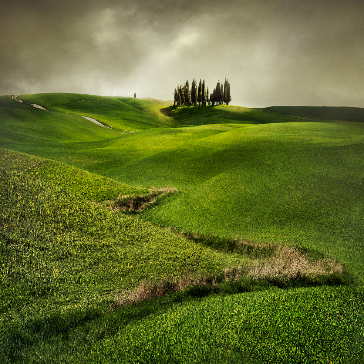 Cypress Hill