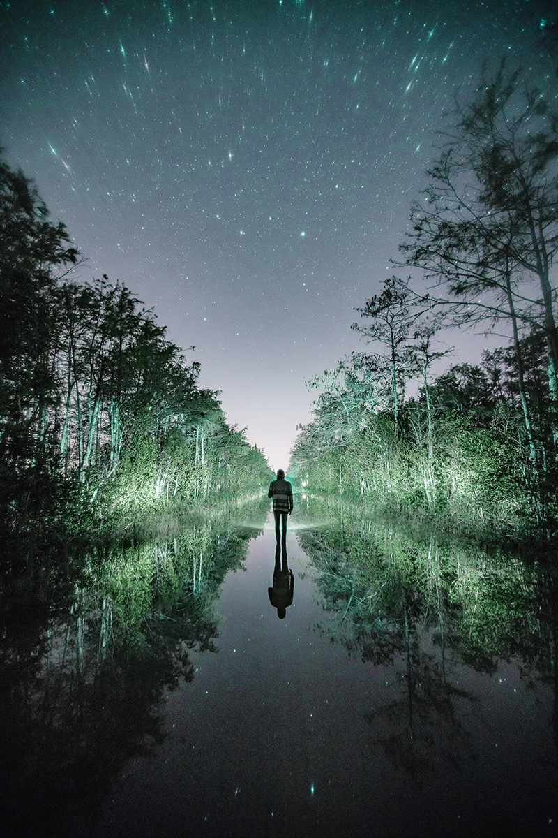 Everglades