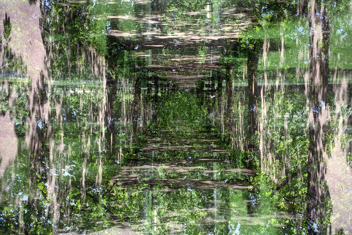 Green Labyrinth