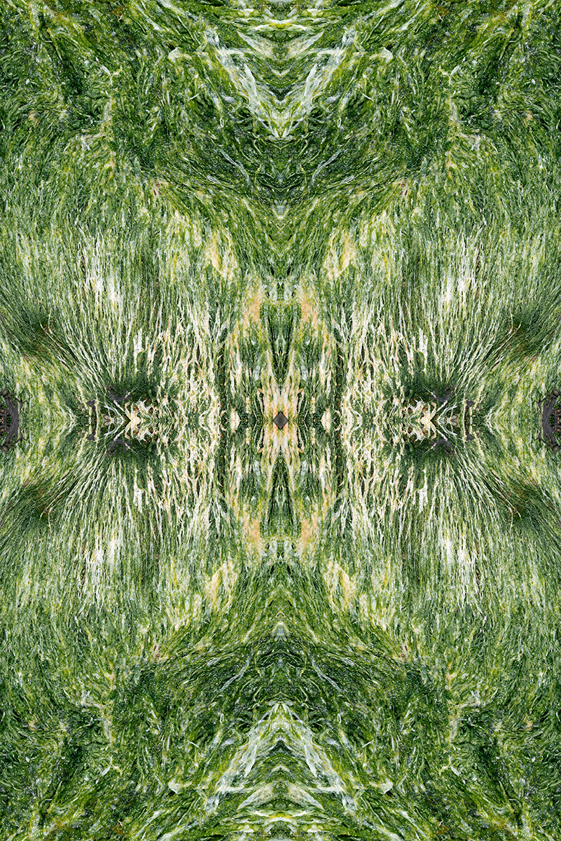 Secret of nature I