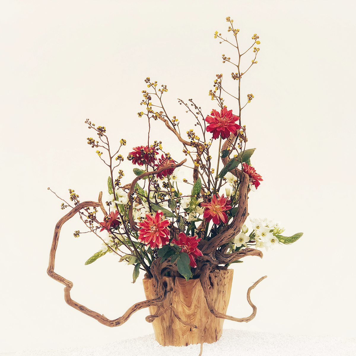 Flower Series A