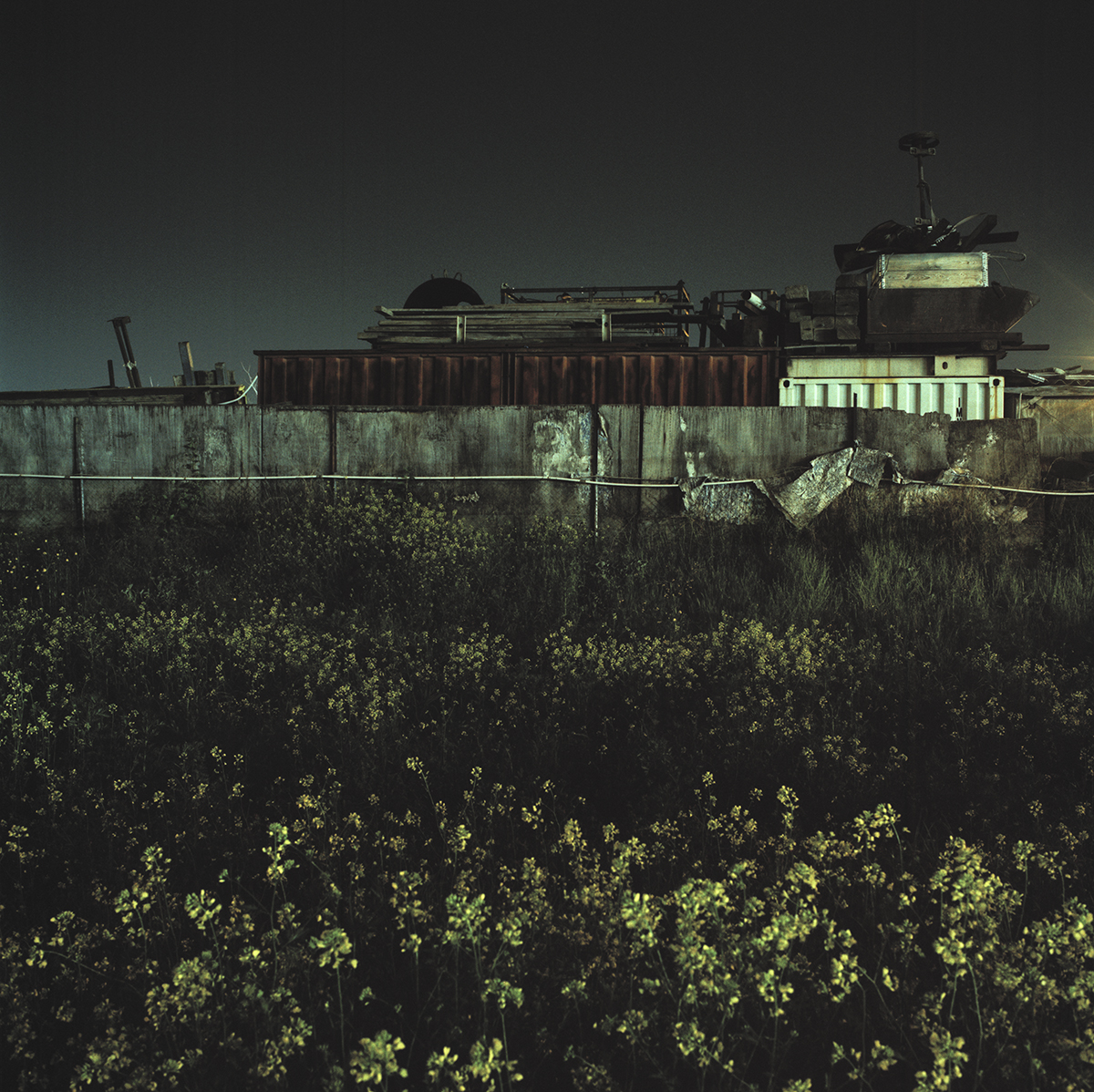Eleonas (Olive grove), the Unconscious of the City