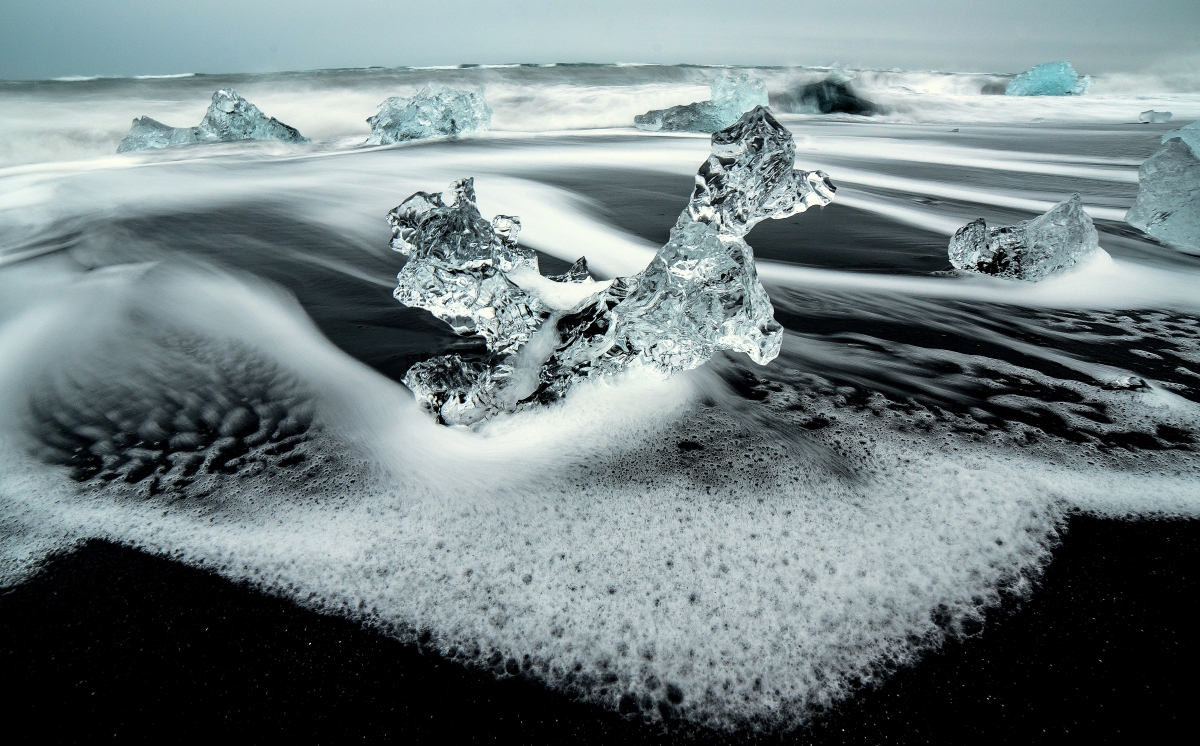 Ice Poodle